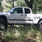 Toyota Tundra Pickup